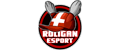Roligan eSport