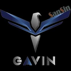 Sansin Gavin