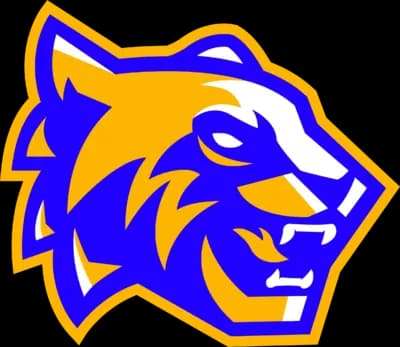 SDM Tigres