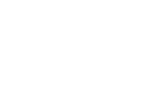 Shadow Zero