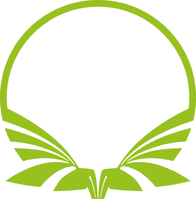Team Singularity