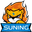 Suning