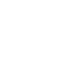 Team Brute