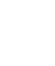 Team Brute