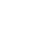 Team Brute