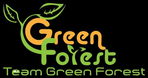 Team Green Forest