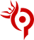 Team Paradox
