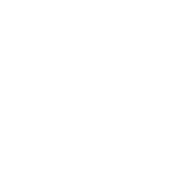 Team SoloMid Academy