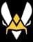 Team Vitality
