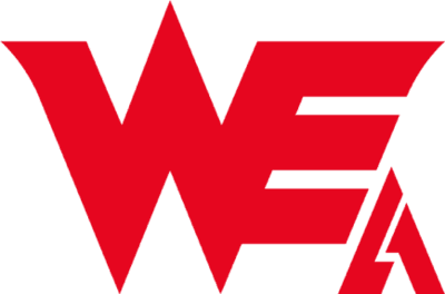 Team WE Academy