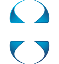 Team 8