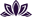 The Black Lotus