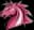 Unicorns of Love SE