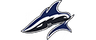 Vega Squadron