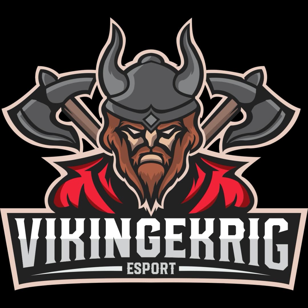 Vikingekrig Academy