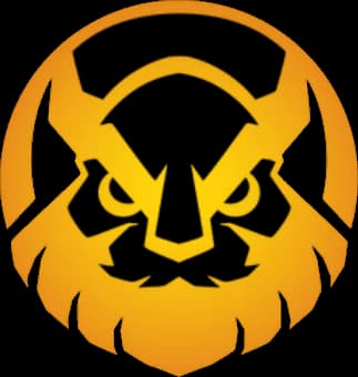 Vikings Esports