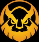 Vikings Esports