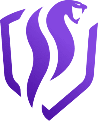 Vipers Gaming