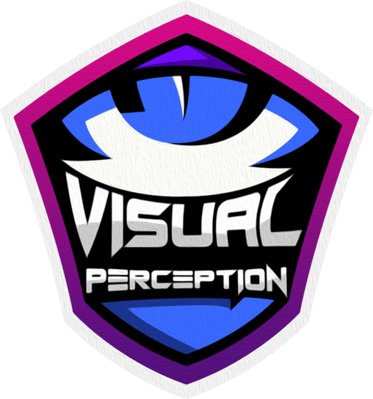 Visual Perception