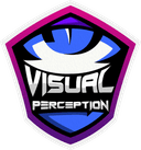 Visual Perception