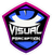 Visual Perception
