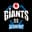 Vodafone Giants Academy