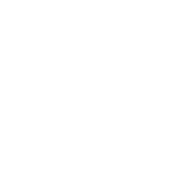 CBLOL Academy